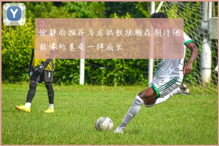 徐静雨推荐马龙执教杨瀚森期待他能像约基奇一样成长